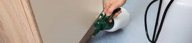 Bed bug exterminator treating baseboards and cracks with targeted spray in Provo, UT