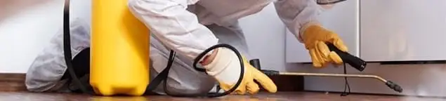 Roach exterminator treating cracks and crevices along kitchen baseboards in Provo, UT