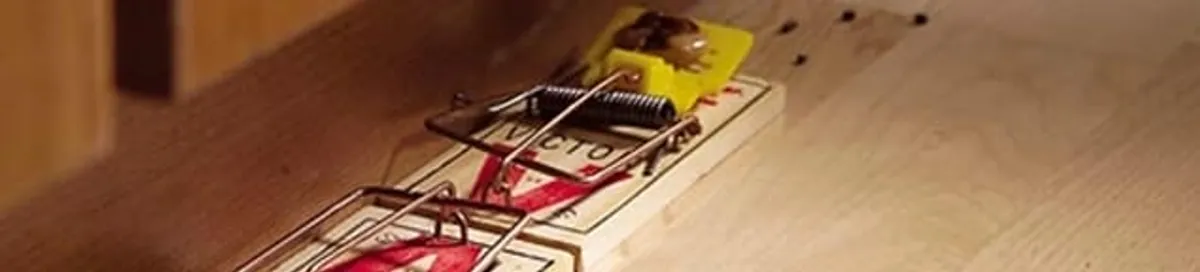 Rodent trap set indoors for rodent control and prevention in Provo, UT